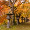 談山神社 紅葉 10