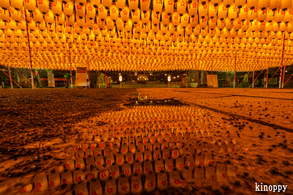 姫路靖國神社 新年万灯祭 4