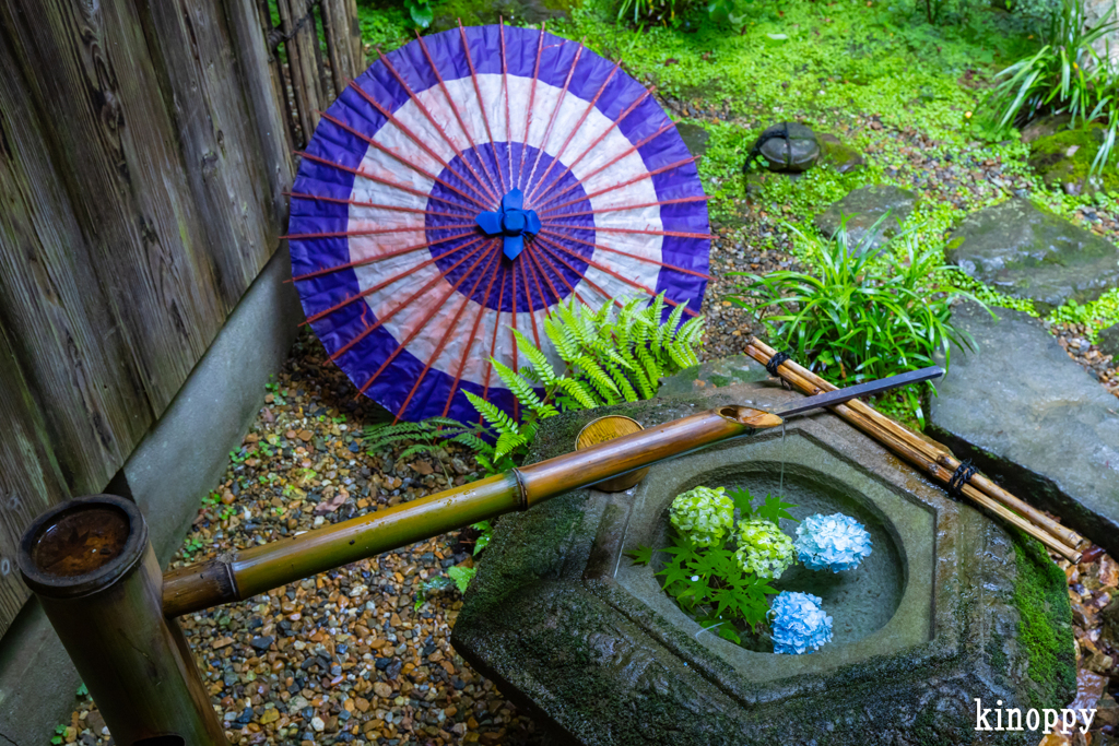 柳谷観音楊谷寺 7