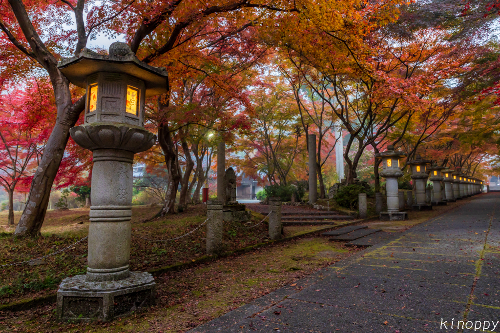 高山寺 紅葉 4
