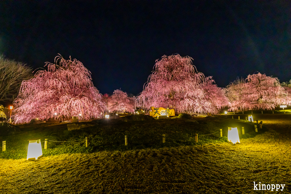 鈴鹿の森庭園 16