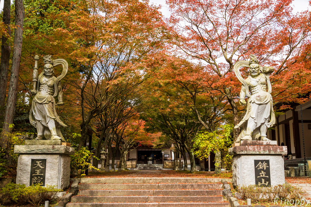 呑山観音寺 紅葉