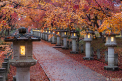 高山寺 紅葉 Ⅱ  4