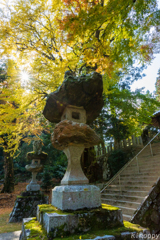 雷神社 紅葉 2