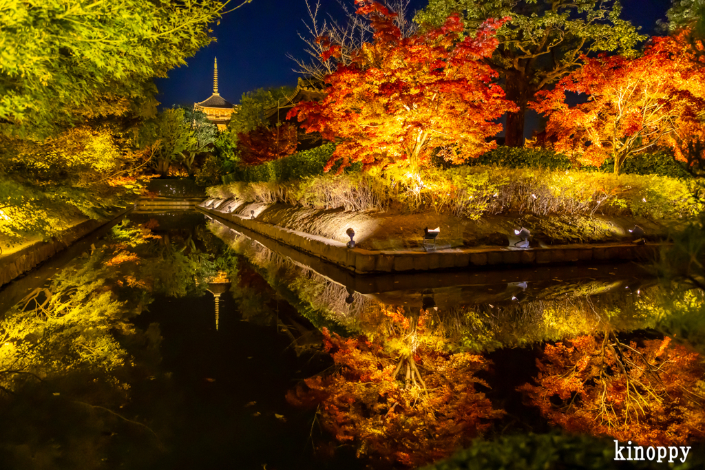 東寺 ライトアップ 8