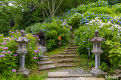 華觀音寺 5