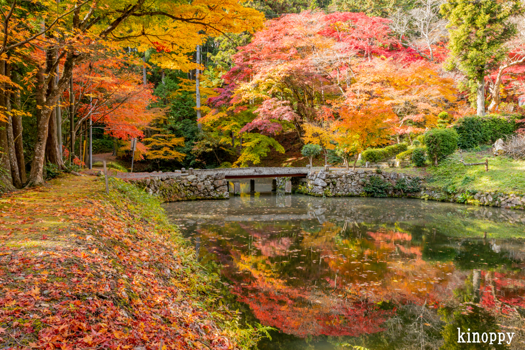 洞光寺 紅葉 3