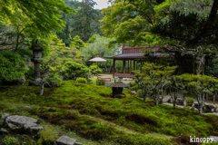 旧竹林院 新緑 6