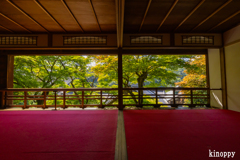 柳谷観音楊谷寺 13