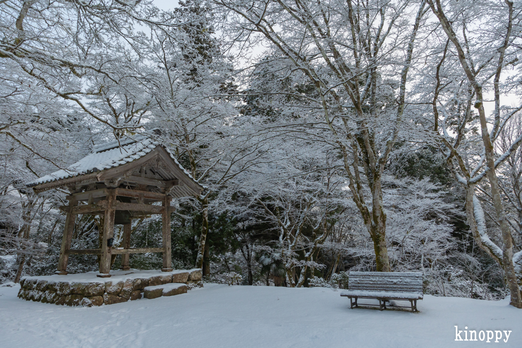高源寺 雪景色 10