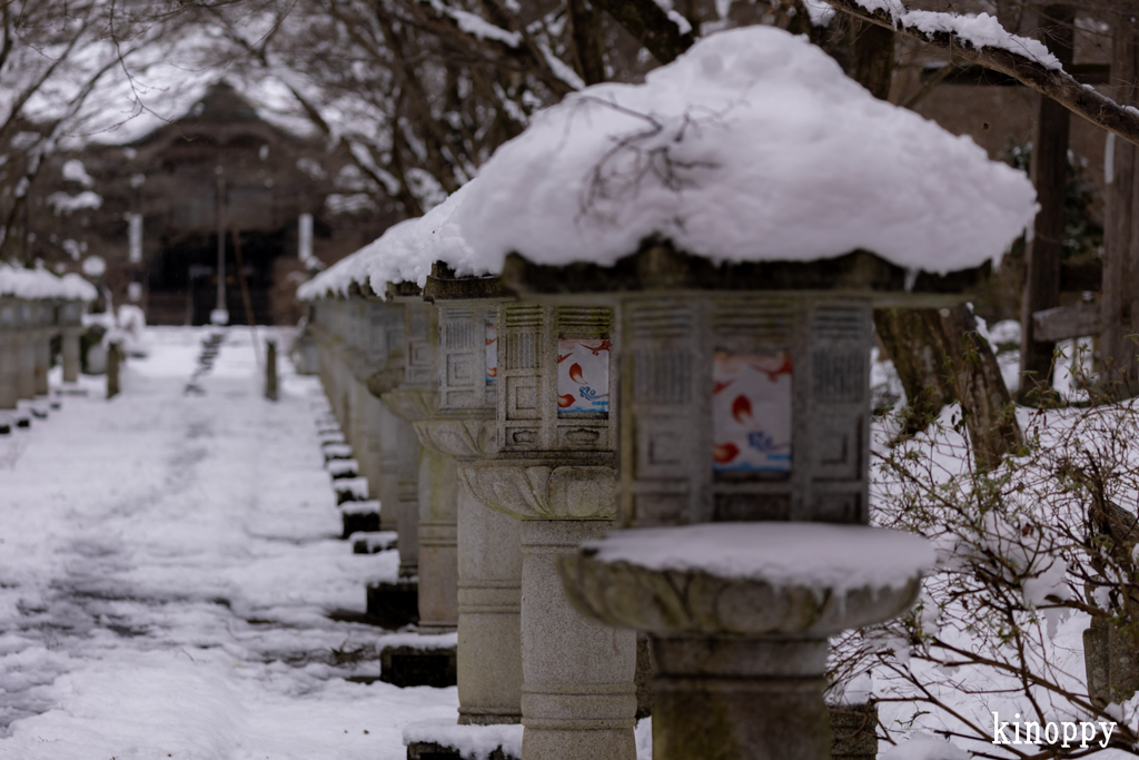 高山寺 冬景色 2