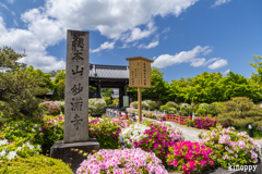 妙満寺 2