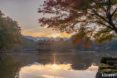 奈良 浮見堂 朝景色 3