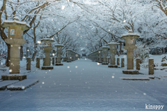 高山寺 雪景色 5