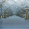 高山寺 雪景色 5