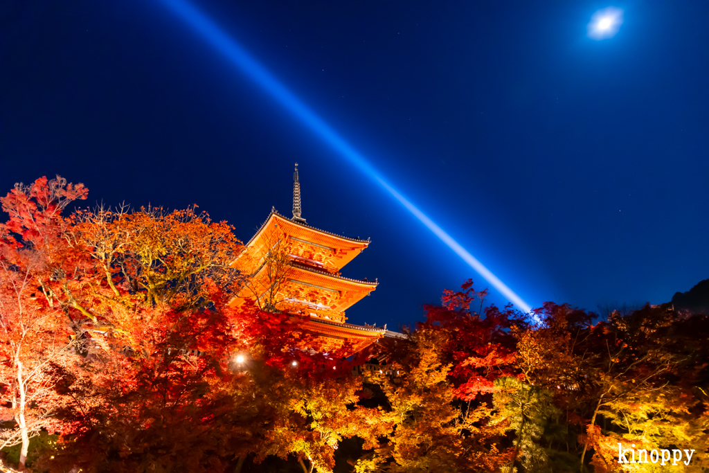 清水寺 紅葉 3