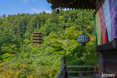 長谷寺 あぢさゐ回廊 5
