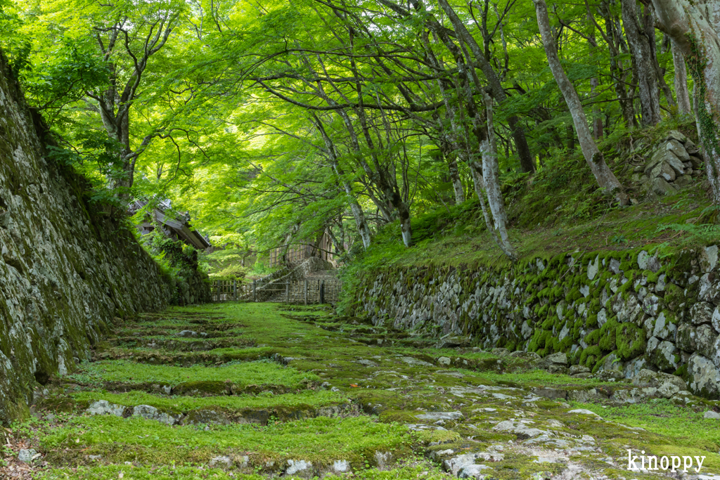 百済寺