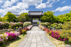 妙満寺