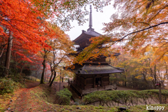 高源寺 紅葉