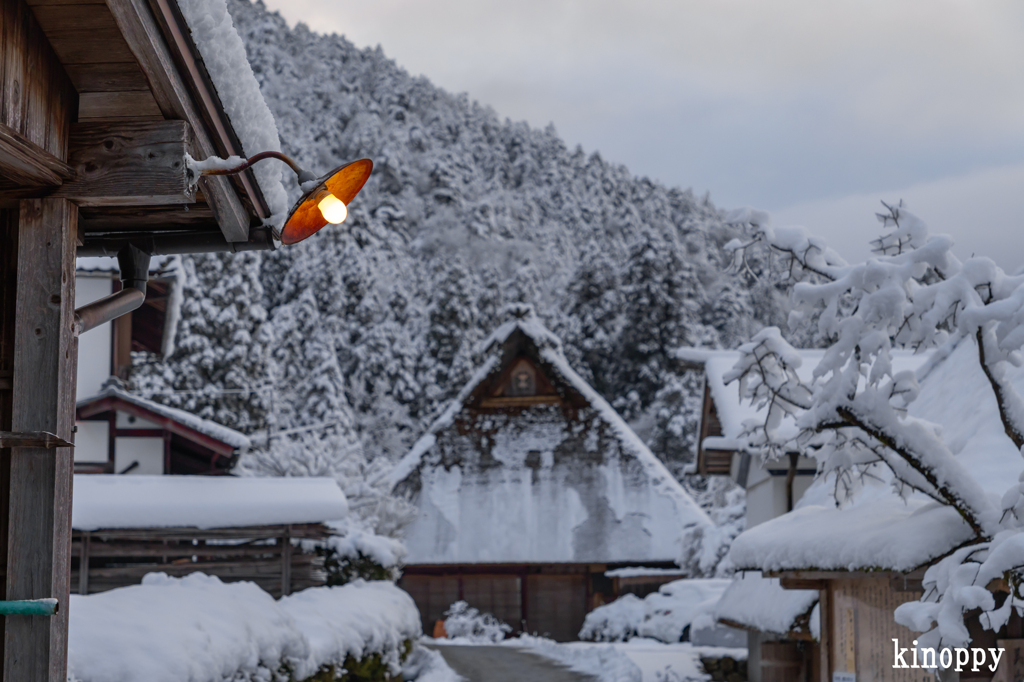 かやぶきの里 雪景色 4