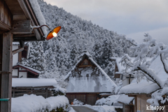 かやぶきの里 雪景色 4