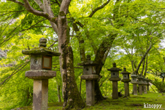 談山神社 新緑 5