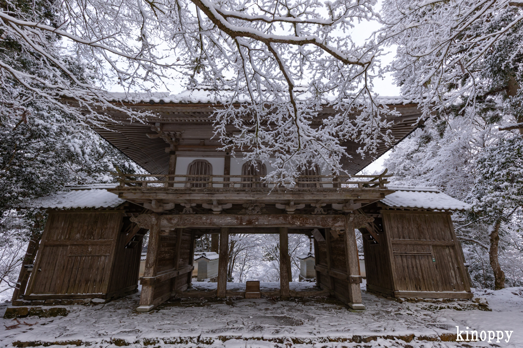 高源寺 雪景色 7