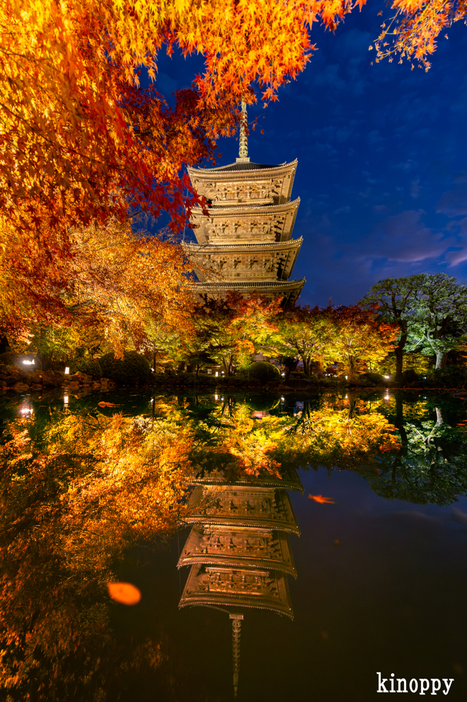 東寺 ライトアップ 3