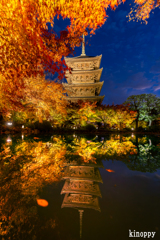 東寺 ライトアップ 3