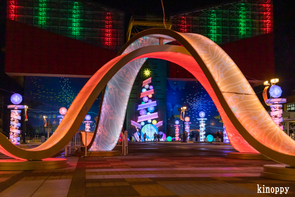 海遊館 イルミネーション 4