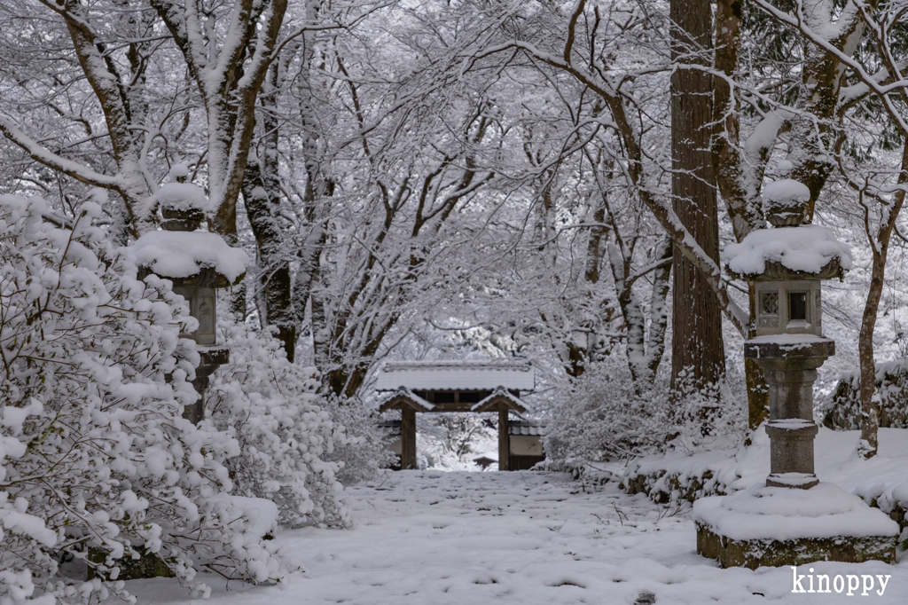 高源寺 雪景色 6