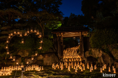 神戸 相楽園 ひかりのさんぽ路 4