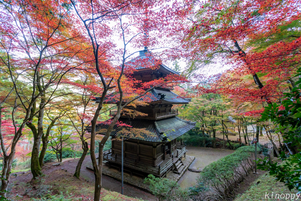 高源寺 紅葉 7