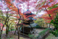 高源寺 紅葉 7