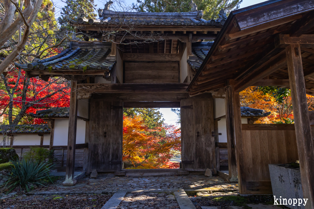 龍穏寺 紅葉 3