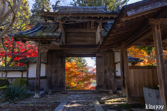 龍穏寺 紅葉 3
