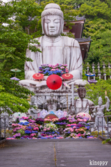 壷阪寺 あぢさゐ回廊 3