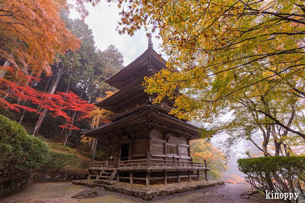高源寺 紅葉 2