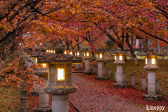 高山寺 紅葉 3