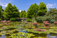 水生植物公園みずの森