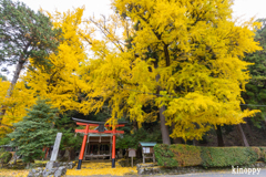 岩戸落葉神社 紅葉