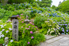 丹州観音寺 6