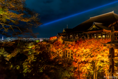 清水寺 紅葉 ライトアップ 2