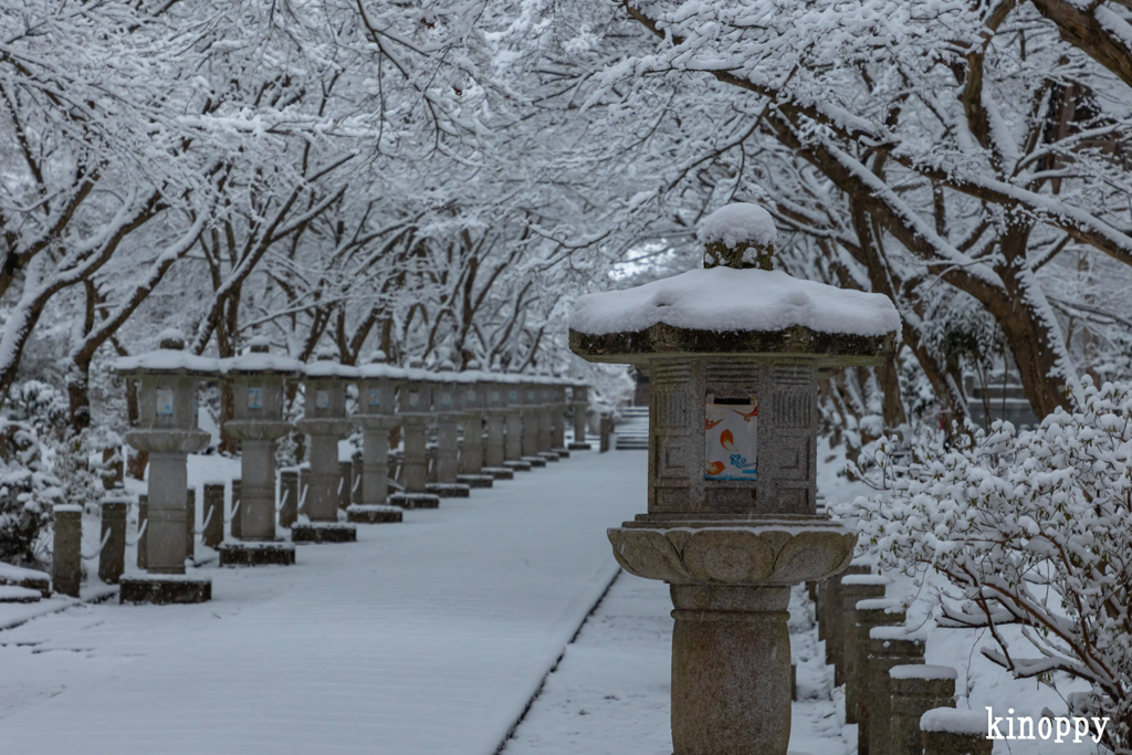 高山寺 雪景色 4