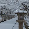 高山寺 雪景色 4
