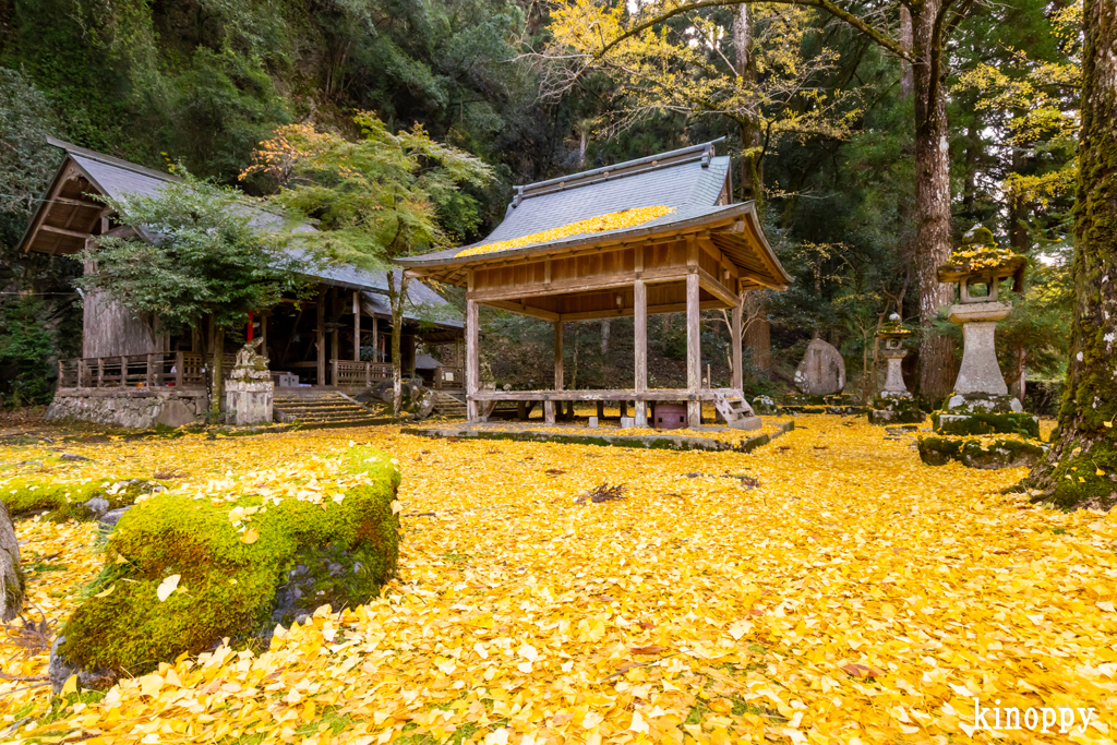 岩戸落葉神社 2