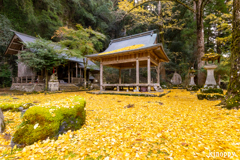 岩戸落葉神社 2