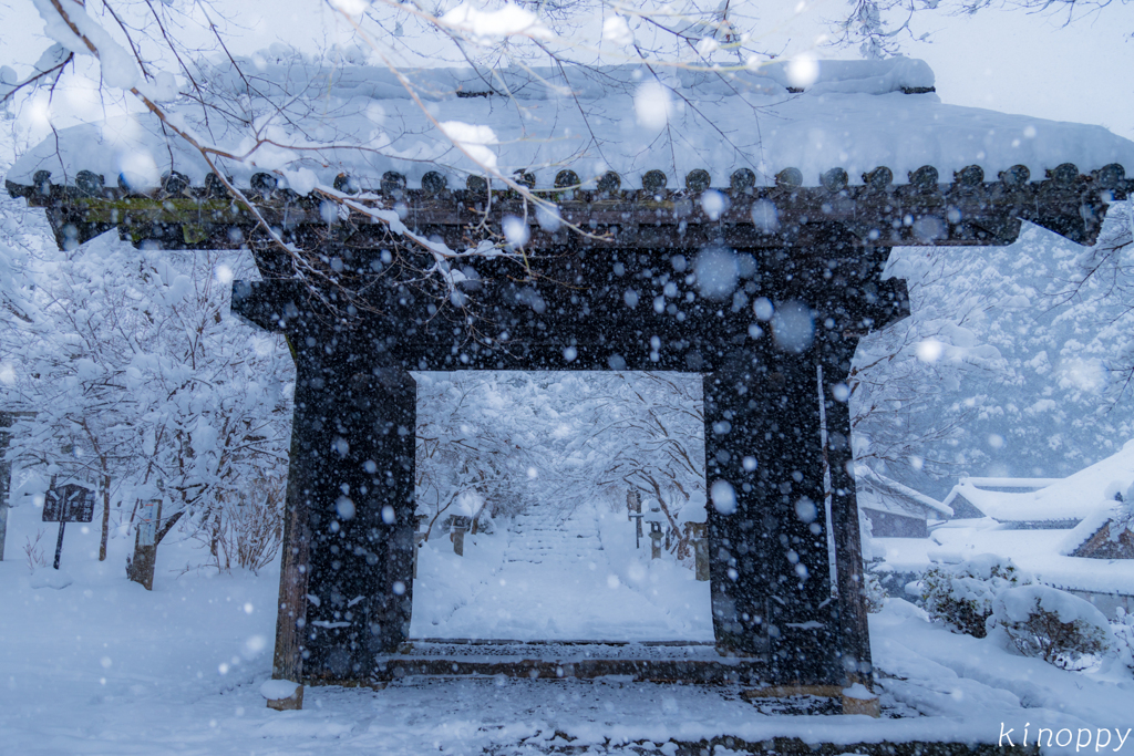 秋月城跡 雪景色 3