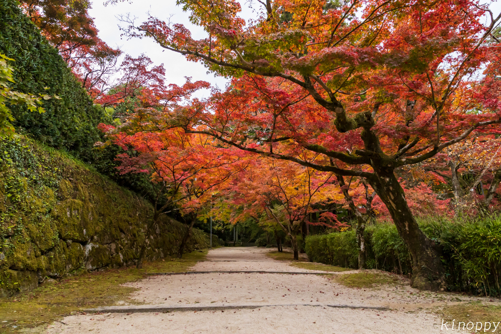 仁比山神社 紅葉 2